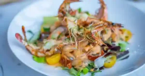 Salan Recipe Chicken Salan Recipe Chicken