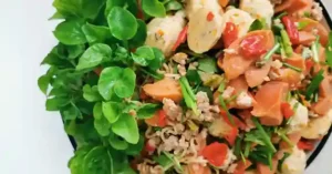 Salan Recipe Chicken Salan Recipe Chicken
